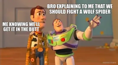 BRO EXPLAINING TO ME THAT WE SHOULD FIGHT A WOLF SPIDER - ME KNOWING WE'LL GET IT IN THE BUTT meme