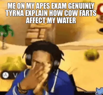 ME ON MY APES EXAM GENUINLY TYRNA EXPLAIN HOW COW FARTS AFFECT MY WATER meme