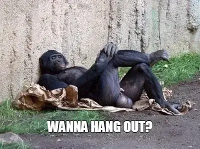 WANNA HANG OUT? meme