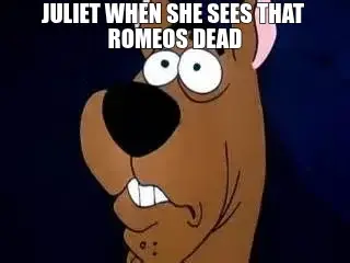 JULIET WHEN SHE SEES THAT  ROMEOS DEAD meme