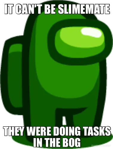IT CAN'T BE SLIMEMATE - THEY WERE DOING TASKS IN THE BOG