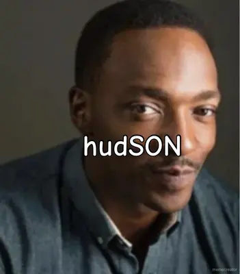 - hudSON meme