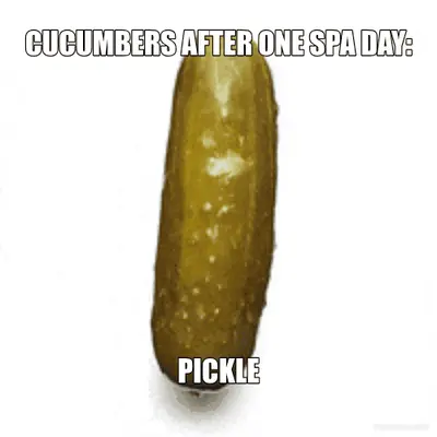 CUCUMBERS AFTER ONE SPA DAY: - PICKLE meme