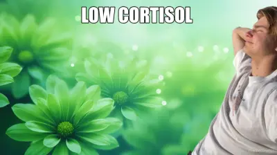 LOW CORTISOL meme