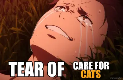 TEAR OF - CARE FOR - CATS meme