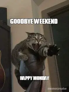 GOODBYE WEEKEND - HAPPY MONDAY