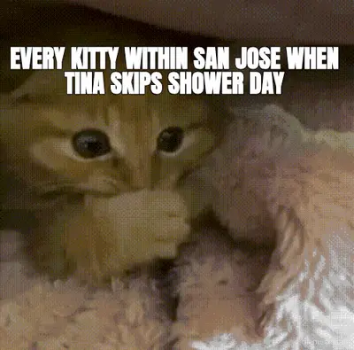 EVERY KITTY WITHIN SAN JOSE WHEN TINA SKIPS SHOWER DAY meme