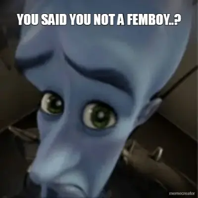 YOU SAID YOU NOT A FEMBOY..? meme