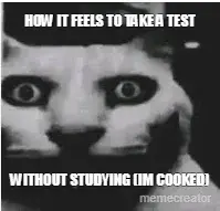 HOW IT FEELS TO TAKE A TEST - WITHOUT STUDYING (IM COOKED) meme