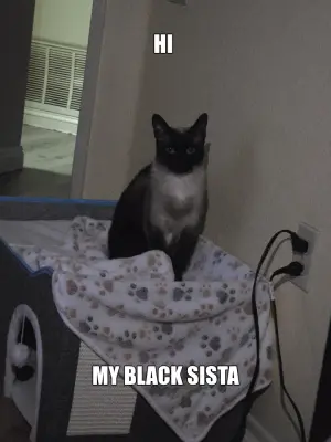 HI  | MY BLACK SISTA meme