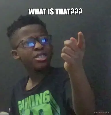 WHAT IS THAT??? meme