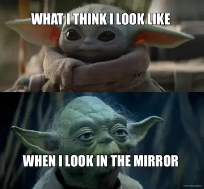 WHAT I THINK I LOOK LIKE  - WHEN I LOOK IN THE MIRROR meme