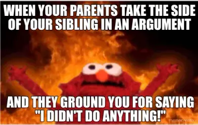 sibling meme