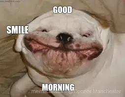 GOOD - MORNING - SMILE meme