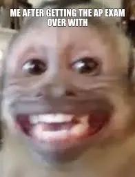 ME AFTER GETTING THE AP EXAM OVER WITH meme