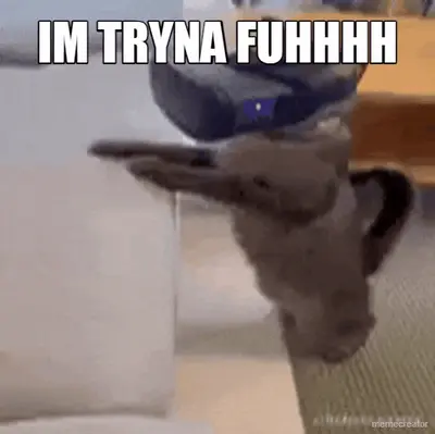 IM TRYNA FUHHHH meme