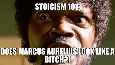 STOICISM 101: - DOES MARCUS AURELIUS LOOK LIKE A BITCH?! meme