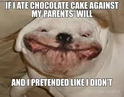 IF I ATE CHOCOLATE CAKE AGAINST MY PARENTS' WILL - AND I PRETENDED LIKE I DIDN'T meme