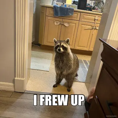 I FREW UP meme