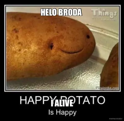 HELO BRODA  - I ALIVE meme