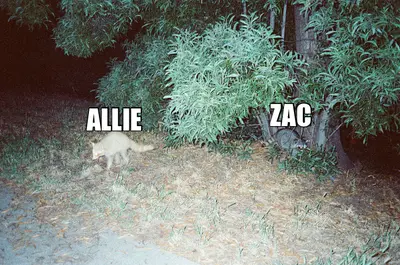 ALLIE  - ZAC meme