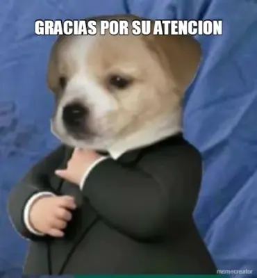 GRACIAS POR SU ATENCION meme