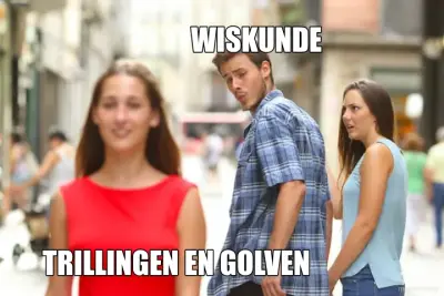 WISKUNDE - TRILLINGEN EN GOLVEN