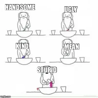 HANDSOME - UGLY - KIND - MEAN - STUPID meme