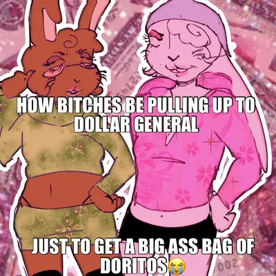 HOW BITCHES BE PULLING UP TO DOLLAR GENERAL - JUST TO GET A BIG ASS BAG OF DORITOS😭 meme