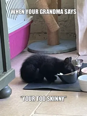 WHEN YOUR GRANDMA SAYS - “YOUR TOO SKINNY” meme
