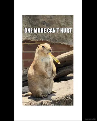 ONE MORE CAN’T HURT meme