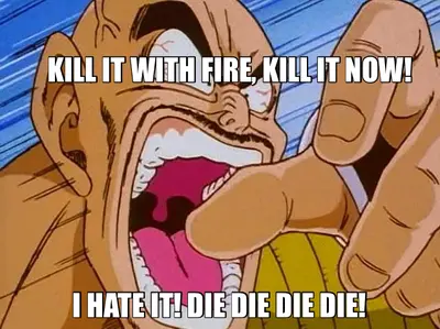 KILL IT WITH FIRE, KILL IT NOW! — I HATE IT! DIE DIE DIE DIE! meme