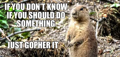 IF YOU DON’T KNOW IF YOU SHOULD DO SOMETHING - JUST GOPHER IT meme