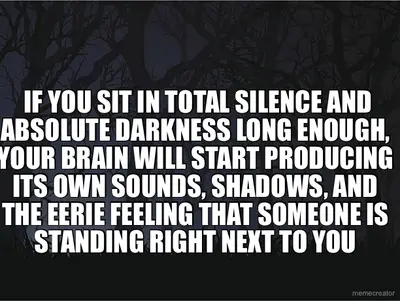 IF YOU SIT IN TOTAL SILENCE AND ABSOLUTE DARKNESS LONG ENOUGH, YOUR BRAIN WILL START PRODUCING ITS O meme