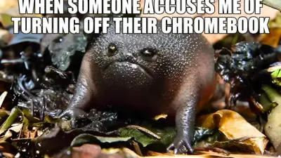 WHEN SOMEONE ACCUSES ME OF TURNING OFF THEIR CHROMEBOOK meme