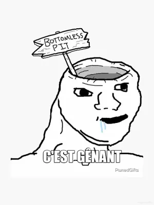C'EST GÊNANT meme
