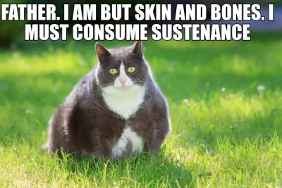 FATHER. I AM BUT SKIN AND BONES. I MUST CONSUME SUSTENANCE meme