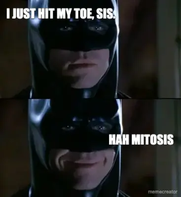 I JUST HIT MY TOE, SIS.  - HAH MITOSIS meme