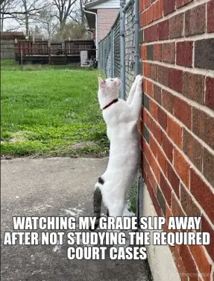 WATCHING MY GRADE SLIP AWAY AFTER NOT STUDYING THE REQUIRED COURT CASES meme