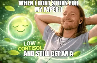 WHEN I DONT STUDY FOR MY PAPER 1 | AND STILL GET AN A meme