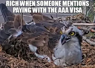 RICH WHEN SOMEONE MENTIONS PAYING WITH THE AAA VISA