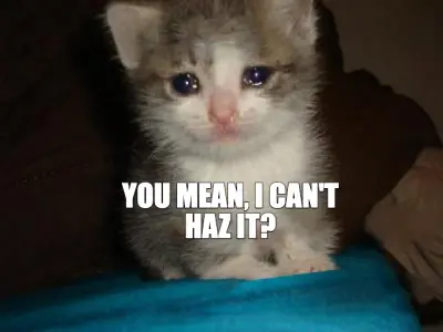 Crying Cat Meme meme