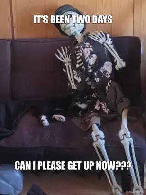 IT'S BEEN TWO DAYS - CAN I PLEASE GET UP NOW??? meme
