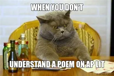 WHEN YOU DON'T - UNDERSTAND A POEM ON AP LIT meme