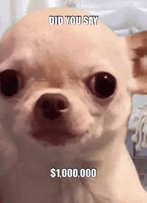 DID YOU SAY - $1,000,000 meme