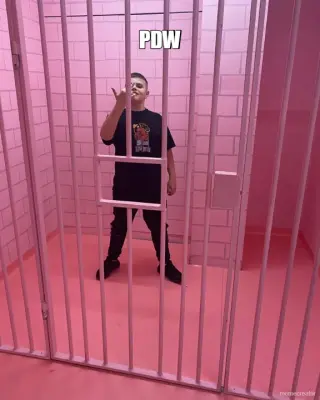 PDW - meme