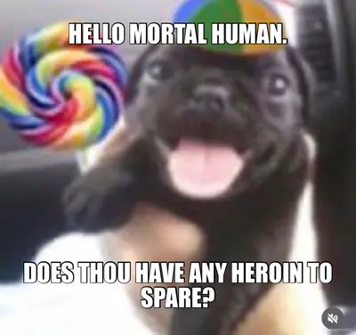 HELLO MORTAL HUMAN. | DOES THOU HAVE ANY HEROIN TO SPARE? meme