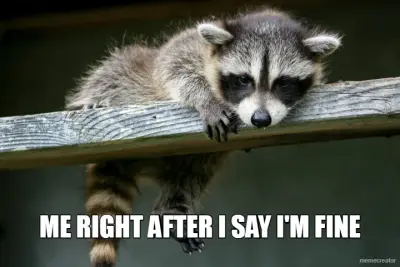 ME RIGHT AFTER I SAY I'M FINE meme