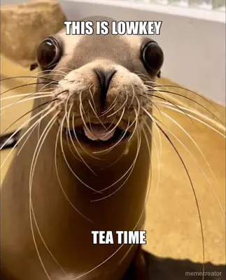 THIS IS LOWKEY - TEA TIME meme