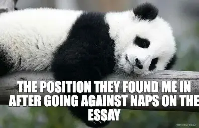 THE POSITION THEY FOUND ME IN AFTER GOING AGAINST NAPS ON THE ESSAY meme